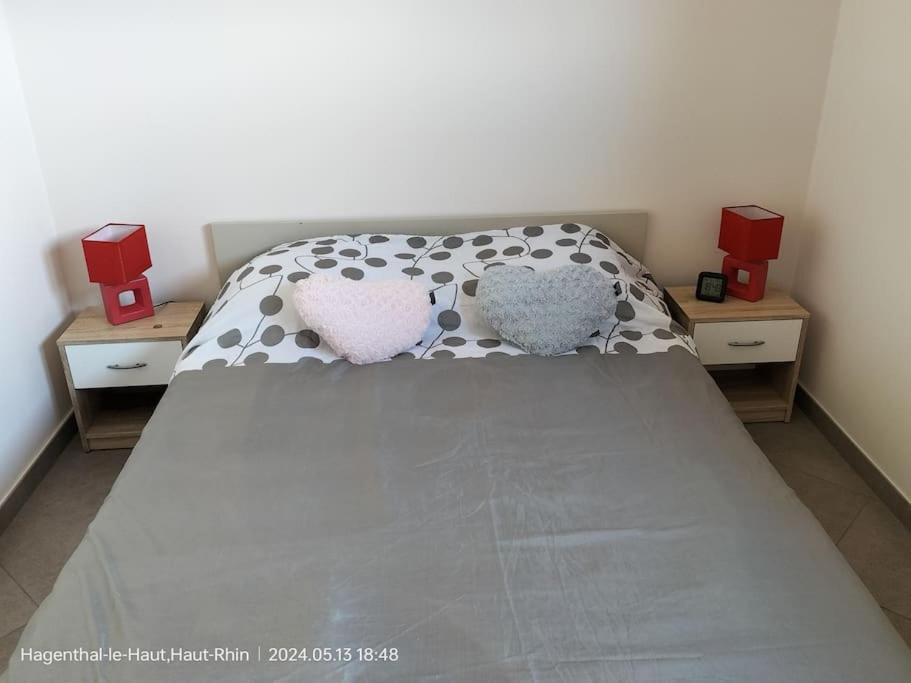 Hagenthal-le-Haut Apartment Einliegerwohnung מראה חיצוני תמונה