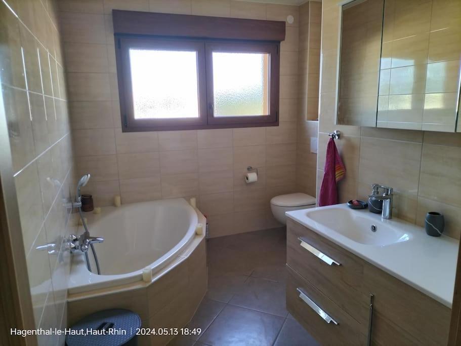Hagenthal-le-Haut Apartment Einliegerwohnung מראה חיצוני תמונה