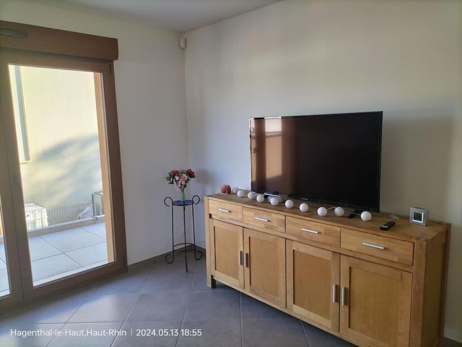 Hagenthal-le-Haut Apartment Einliegerwohnung מראה חיצוני תמונה